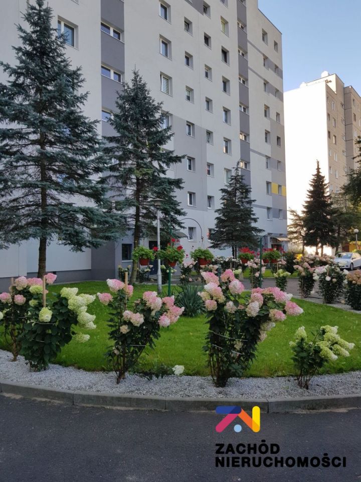 Mieszkanie 2-pokojowe Zielona Góra. Zdjęcie 13