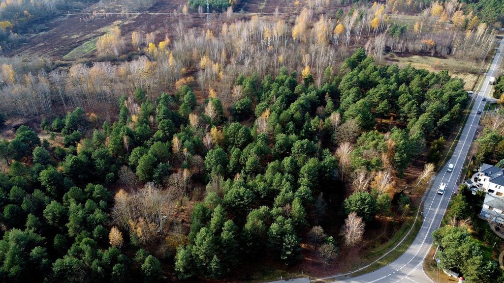 Działka budowlana Łomianki. Zdjęcie 9