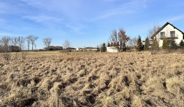 Działka rolno-budowlana Grębków, ul. Zachodnia