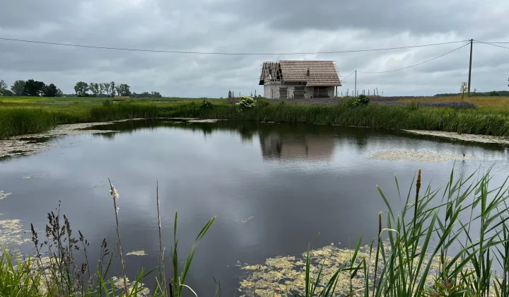 Działka budowlana Rumunki Witkowskie
