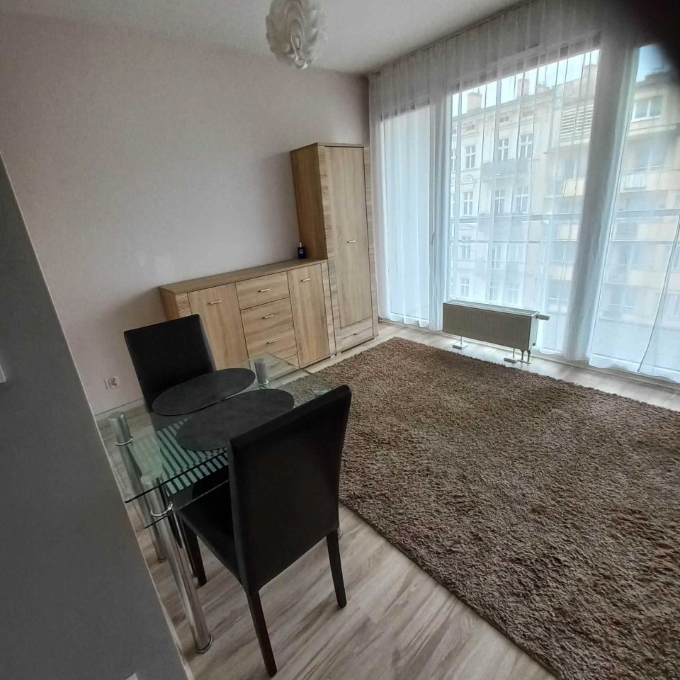 Mieszkanie 1-pokojowe Poznań Wilda, ul. Romualda Traugutta. Zdjęcie 4