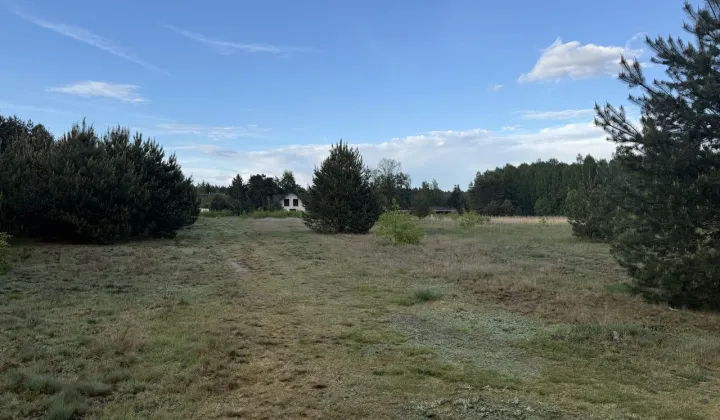 Działka budowlana Zielona Góra, ul. Główna