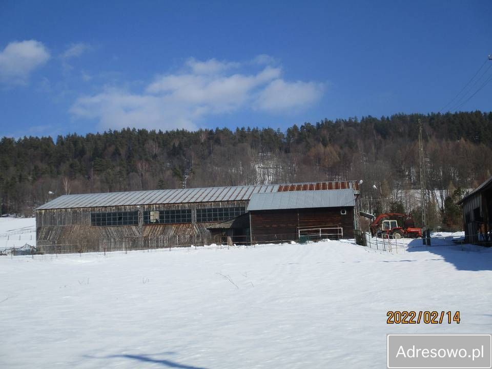 Hala/magazyn Zadwórze. Zdjęcie 3