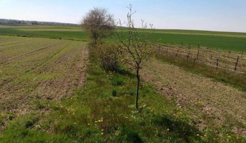 Działka rolno-budowlana Majdan Starowiejski