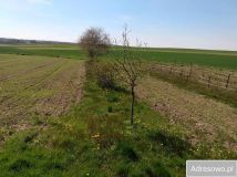 Działka rolno-budowlana Majdan Starowiejski. Zdjęcie 1