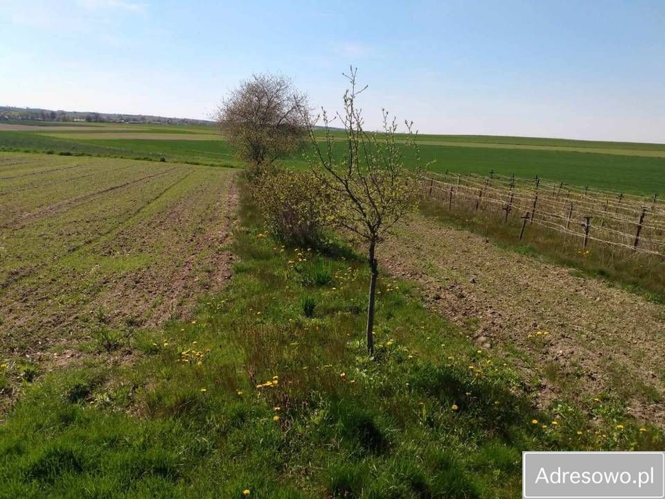 Działka rolno-budowlana Majdan Starowiejski. Zdjęcie 2