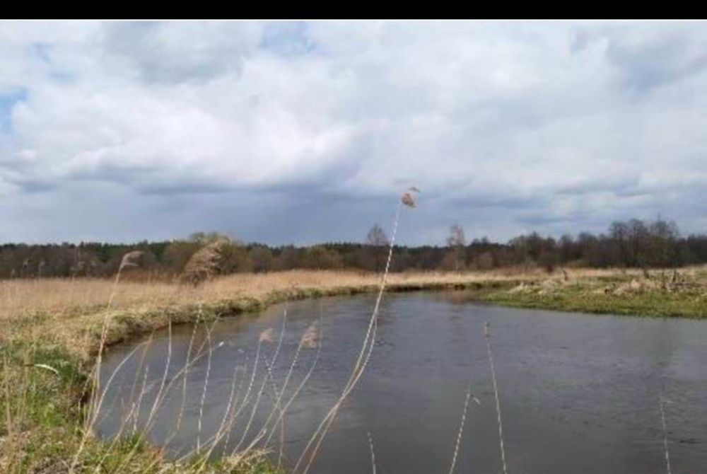 Działka rekreacyjna Trzebca. Zdjęcie 3