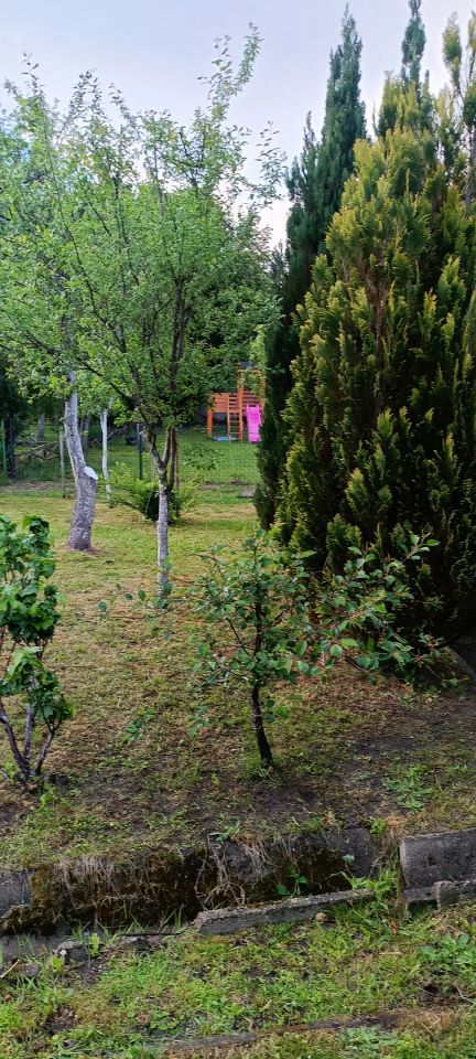 Działka rod Zielona Góra Centrum, ul. Działkowa. Zdjęcie 5