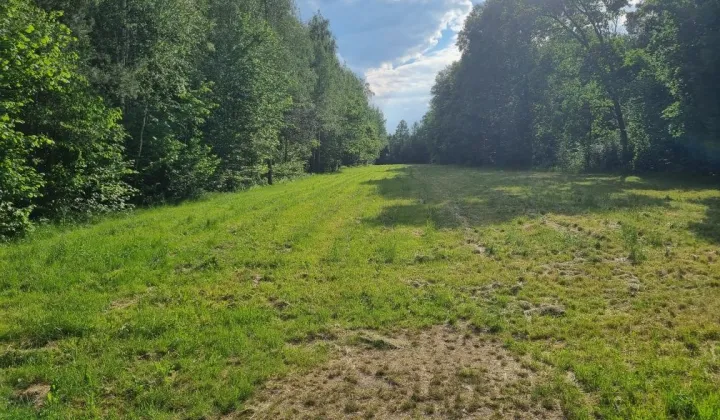 Działka rolna Zakanale