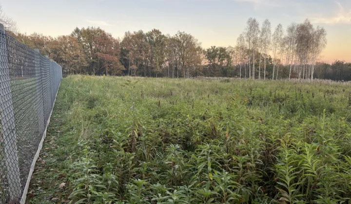 Działka budowlana Potok Za Lasem