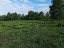 Działka budowlana Milanówek. Zdjęcie 1