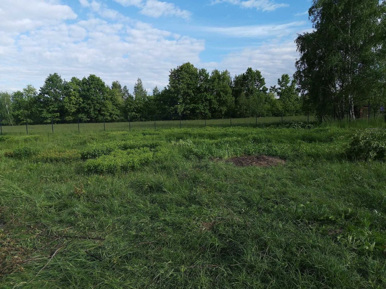 Działka budowlana Milanówek. Zdjęcie 2