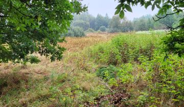 Działka rolna Sorbin Dule