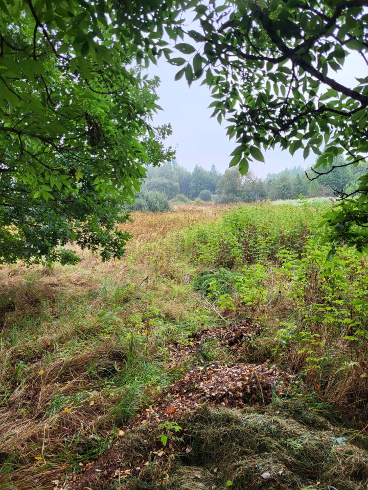 Działka rolna Sorbin Dule. Zdjęcie 2