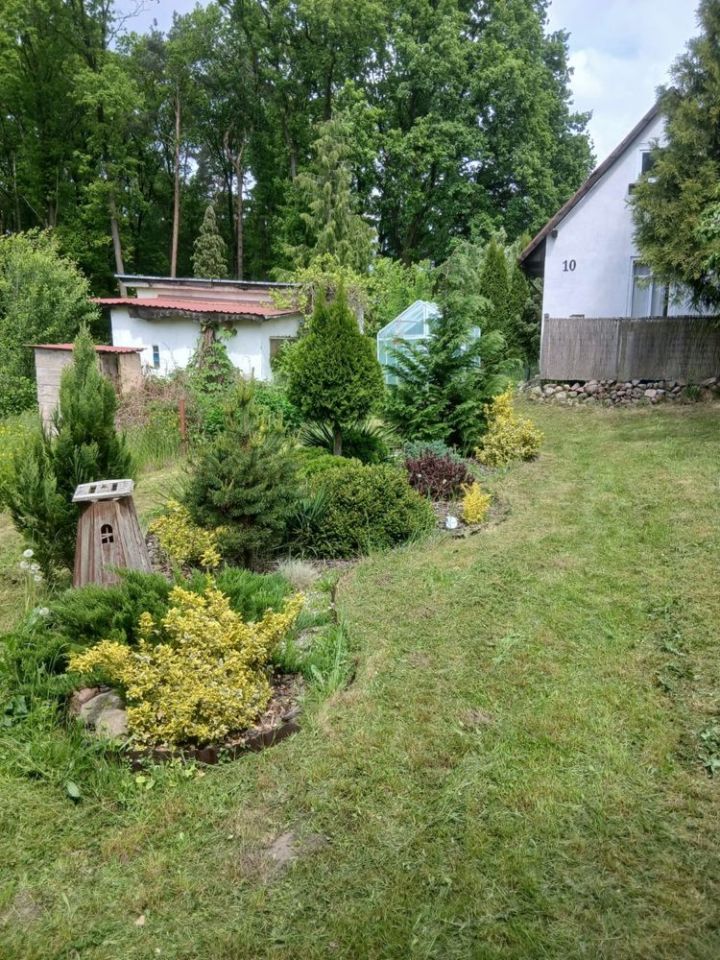 Działka rod Czarnków. Zdjęcie 3