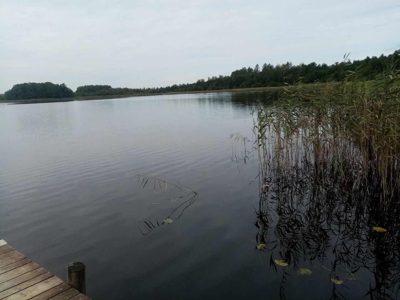 Działka rekreacyjna Mazury. Zdjęcie 2