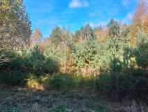 Działka budowlana Ewina. Zdjęcie 3