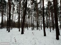 Działka budowlana Chylice, ul. Sąsiedzka. Zdjęcie 2