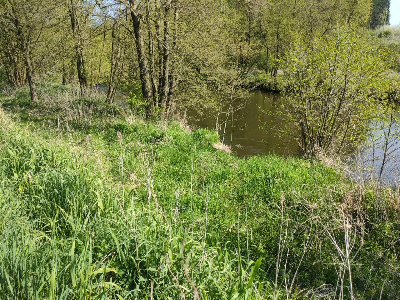 Działka budowlana Handlowy Młyn. Zdjęcie 5