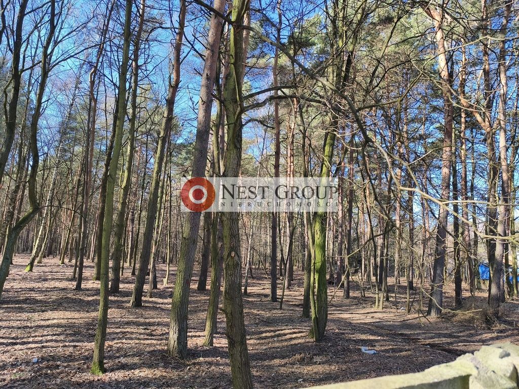 Działka budowlana Nowy Janków, ul. Wołomińska. Zdjęcie 10