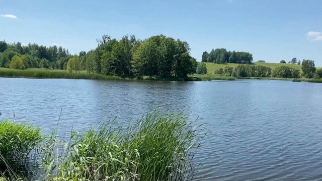 Działka rolno-budowlana Wilkasy. Zdjęcie 1