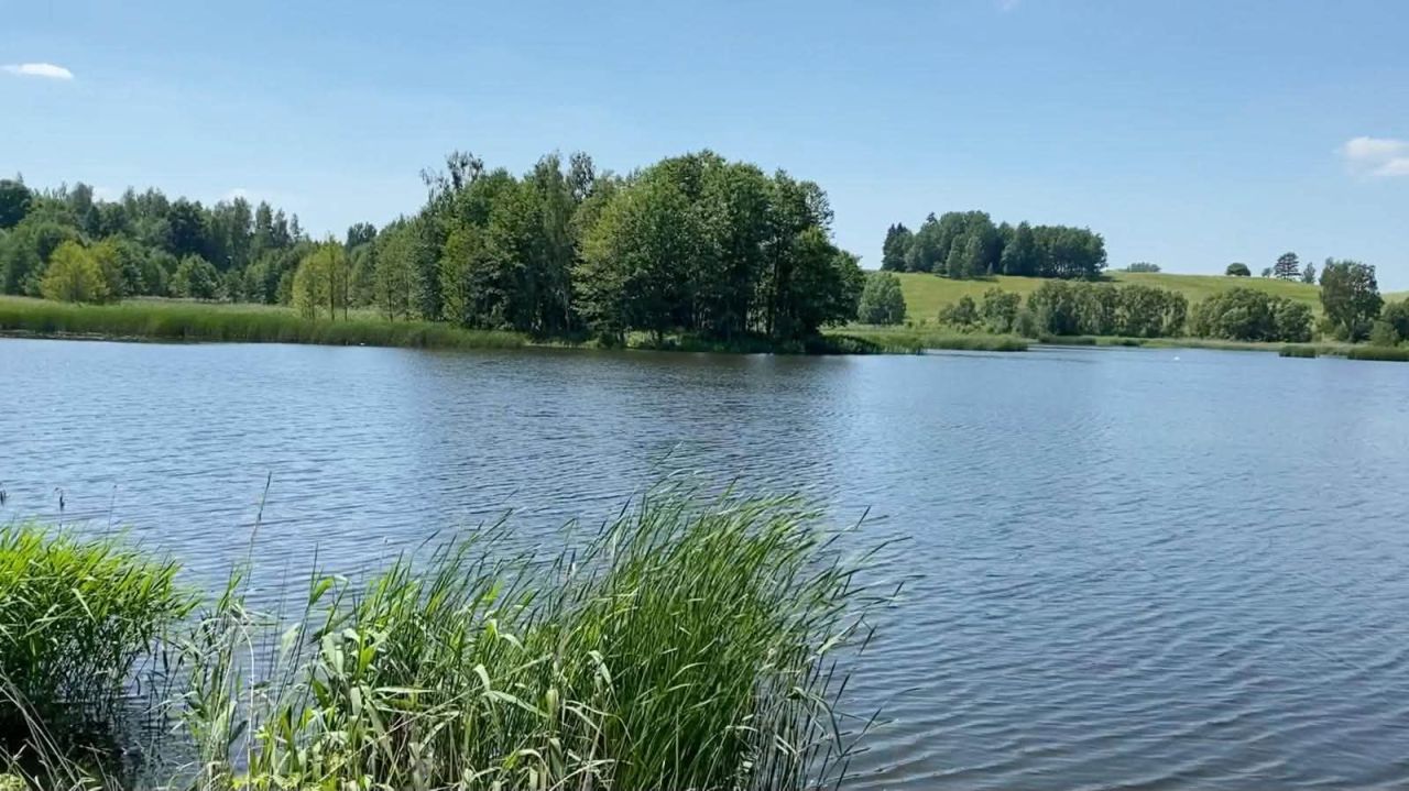 Działka rolno-budowlana Wilkasy. Zdjęcie 1