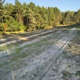 Działka rolno-budowlana Kossów. Zdjęcie 3