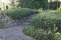 Działka rod Niewodnica Kościelna, ul. Działkowców. Zdjęcie 4