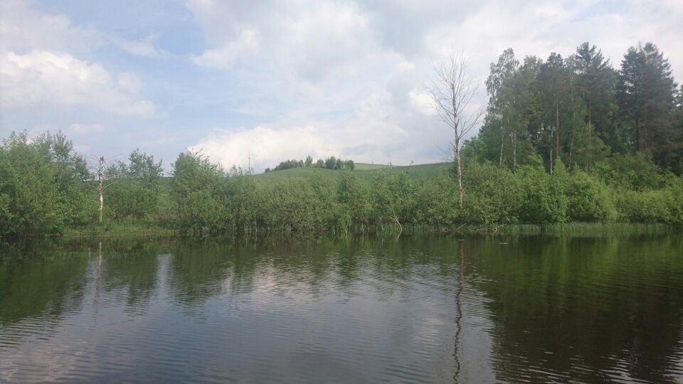 Działka budowlana Borowy Las. Zdjęcie 3