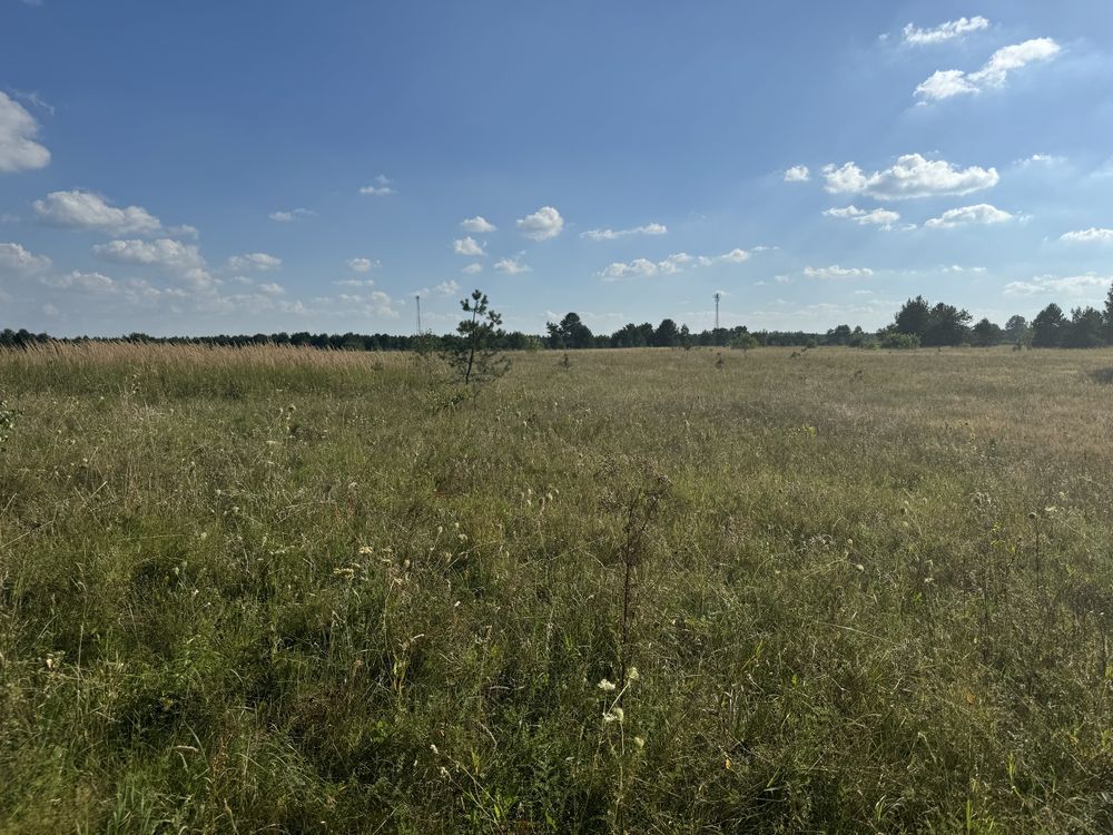 Działka budowlana Jabłonka. Zdjęcie 4