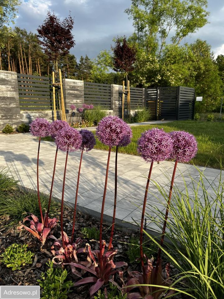 dom wolnostojący, 4 pokoje Żółtki. Zdjęcie 6