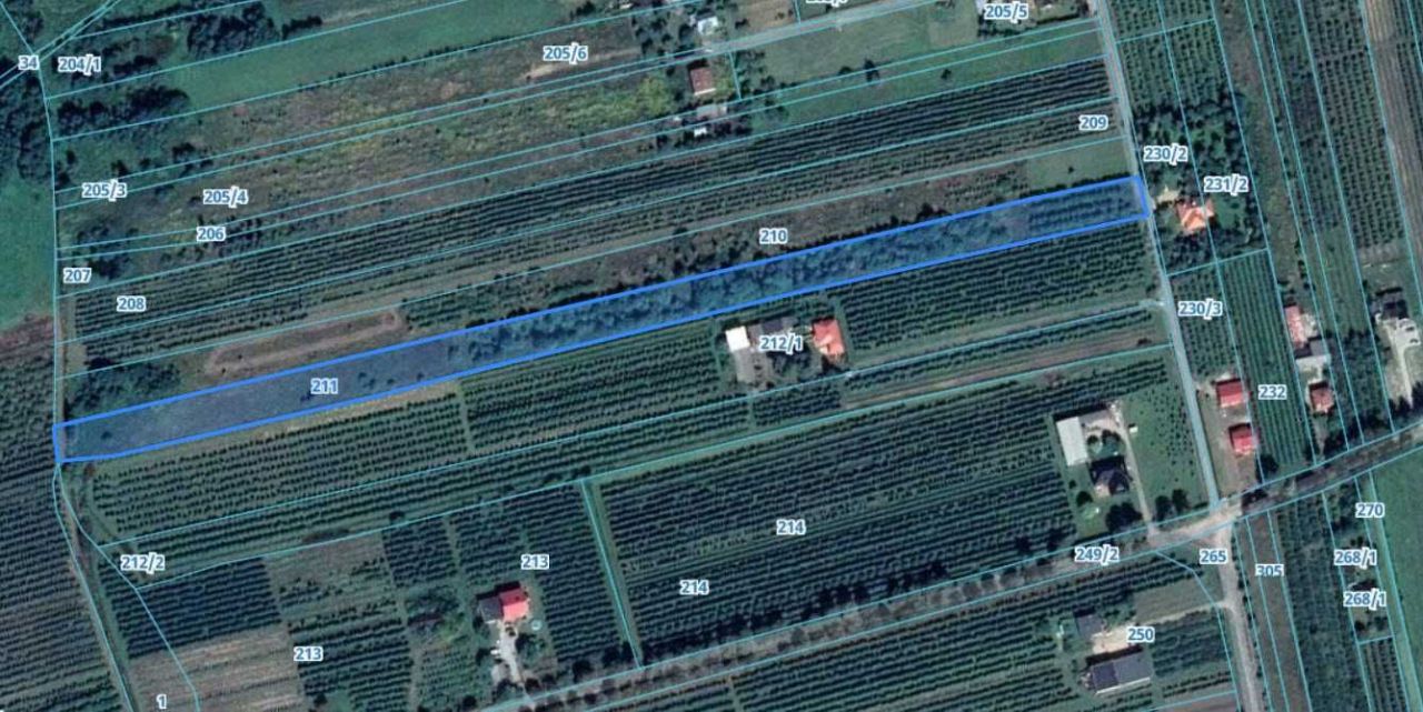 Działka rolno-budowlana Worów. Zdjęcie 3