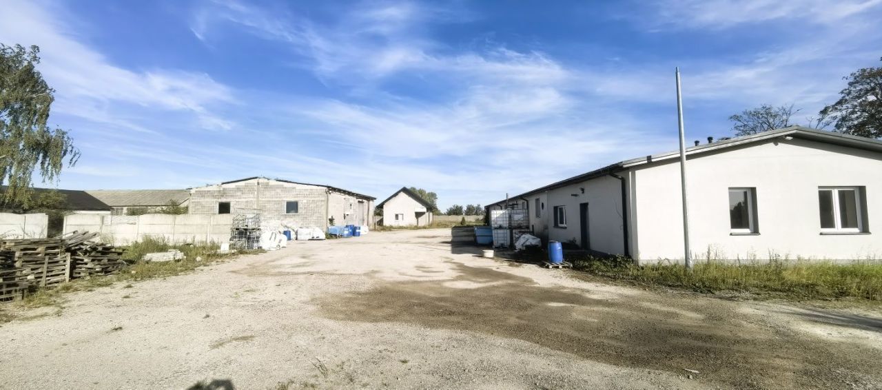 Hala/magazyn Koserz. Zdjęcie 7