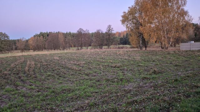 Działka budowlana Mąkoszyce Frużów. Zdjęcie 1