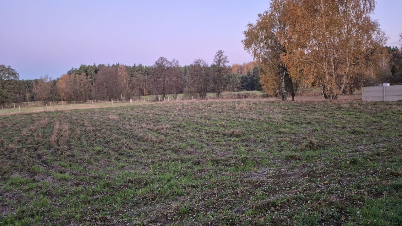 Działka budowlana Mąkoszyce Frużów. Zdjęcie 1