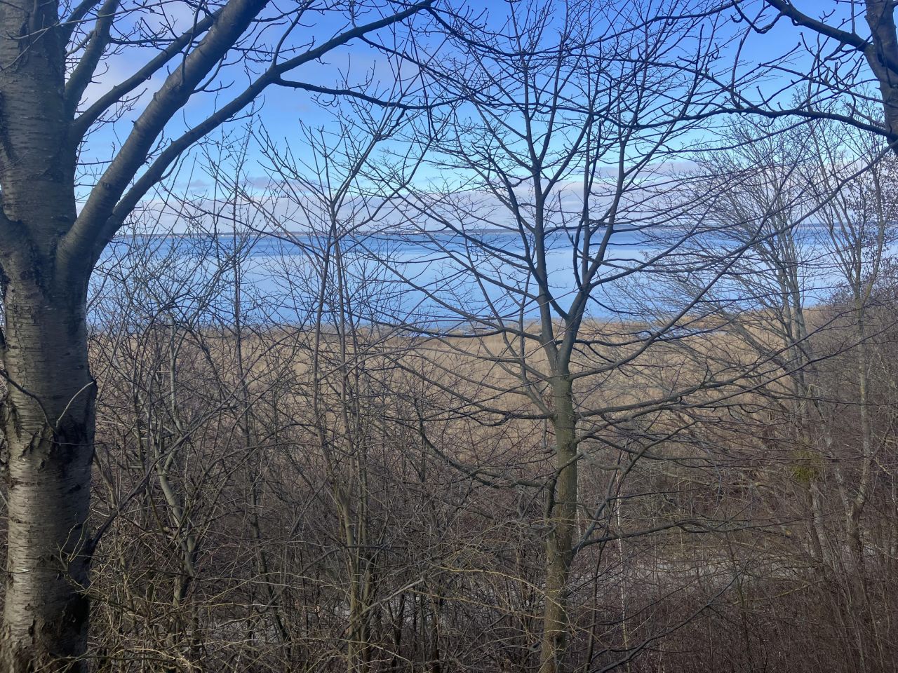 Działka rolno-budowlana Tolkmicko, ul. Morska. Zdjęcie 3