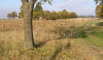 Działka budowlana Magdalenów