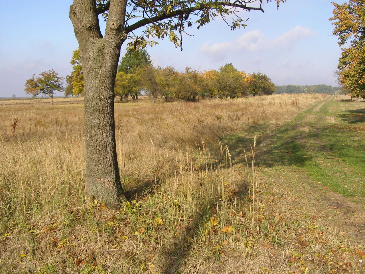 Działka budowlana Magdalenów