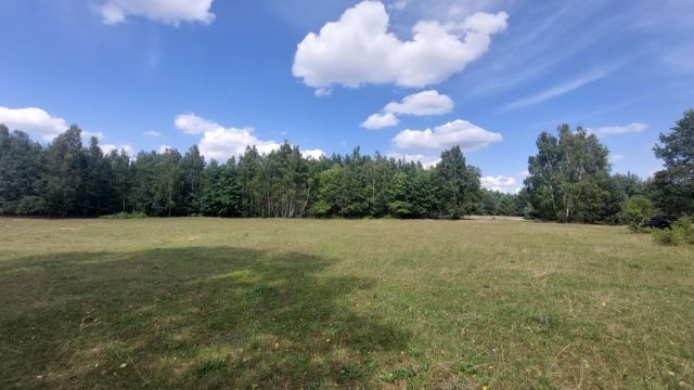 Działka rolna Mroczki-Kawki. Zdjęcie 1