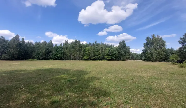 Działka rolna Mroczki-Kawki