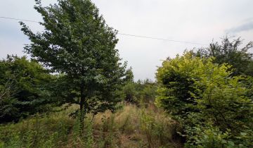 Działka rolno-budowlana Lipinki Łużyckie, os. Kolejowe