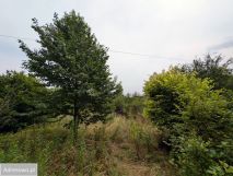 Działka rolno-budowlana Lipinki Łużyckie, os. Kolejowe. Zdjęcie 1