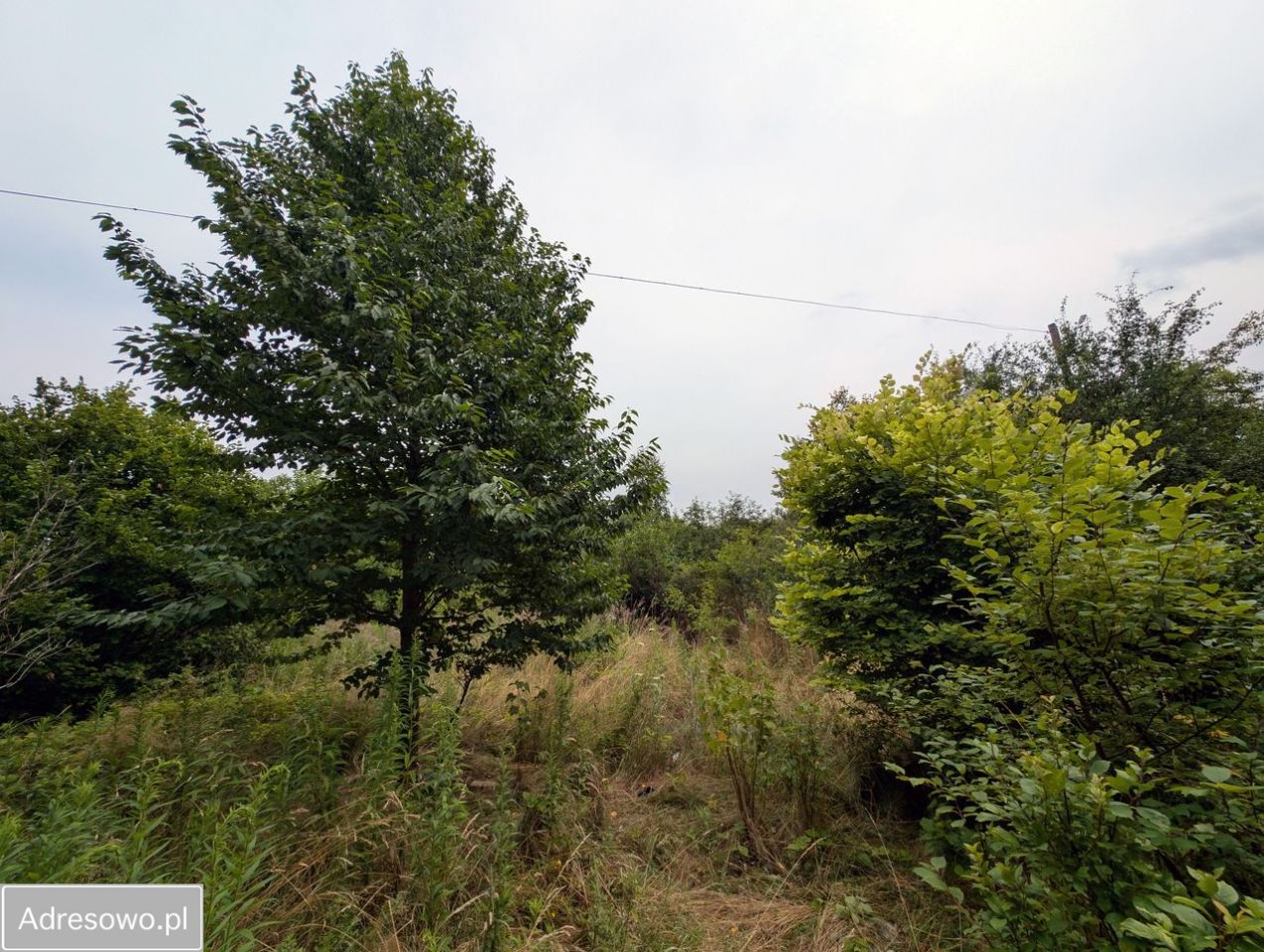 Działka rolno-budowlana Lipinki Łużyckie, os. Kolejowe. Zdjęcie 2