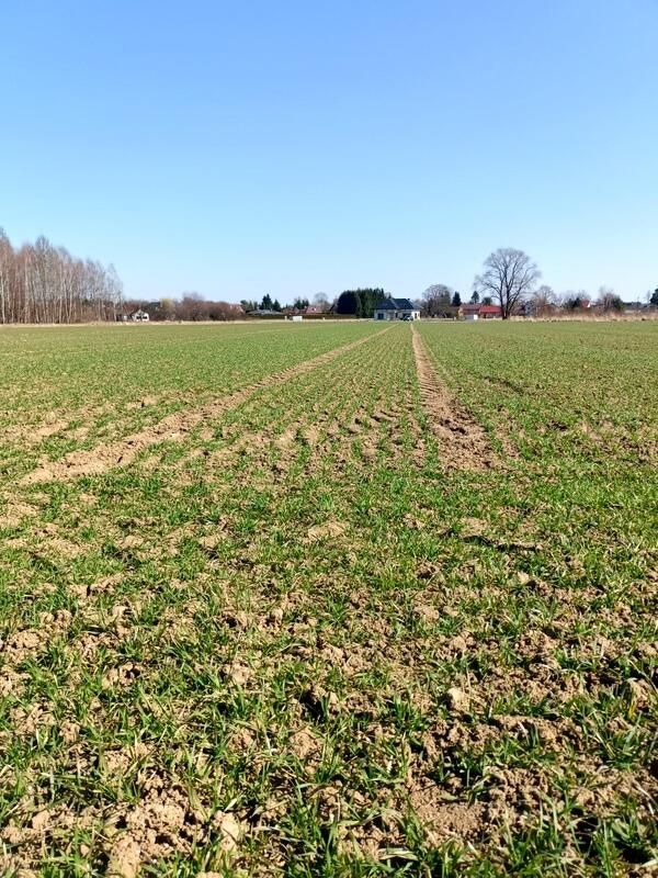 Działka budowlana Świerzowa Polska. Zdjęcie 3