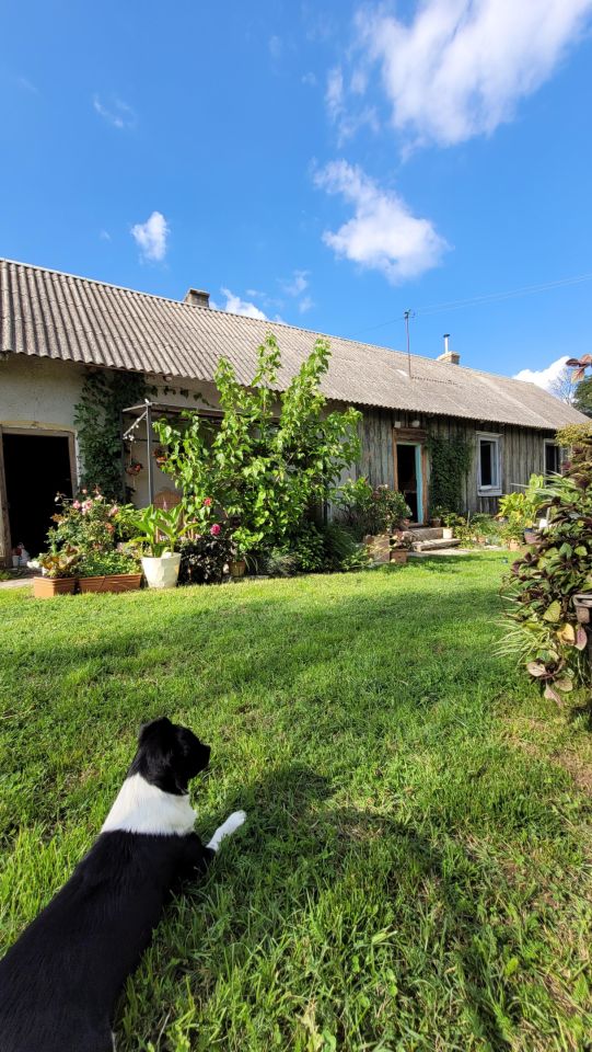 dom wolnostojący, 2 pokoje Parkoszowice, ulica. Zdjęcie 2