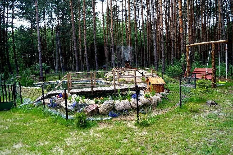 Działka rekreacyjna Poświętne. Zdjęcie 2