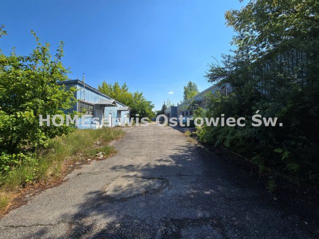 Działka inwestycyjna Ostrowiec Świętokrzyski Gutwin, ul. Jana Samsonowicza. Zdjęcie 5