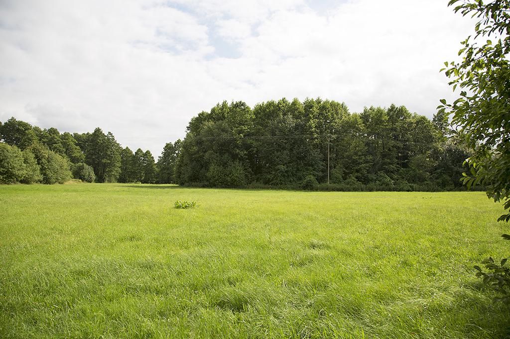 Działka siedliskowa Wola Ładowska. Zdjęcie 2