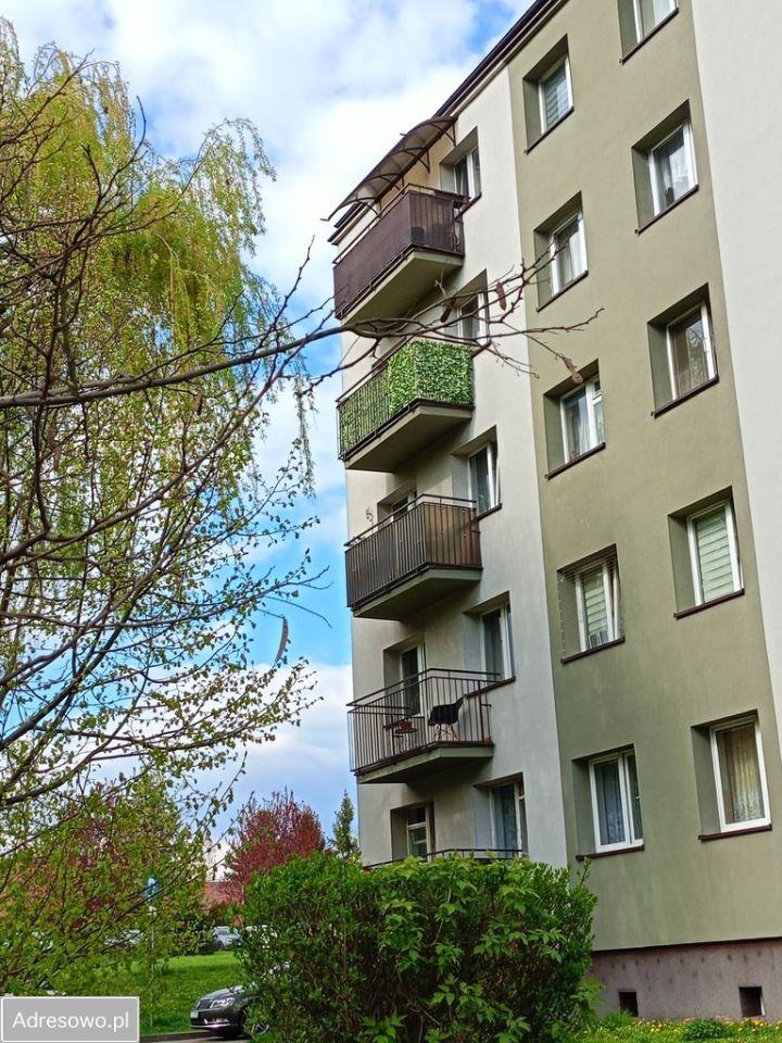 Mieszkanie 2-pokojowe Bytom Miechowice, ul. Francuska. Zdjęcie 18