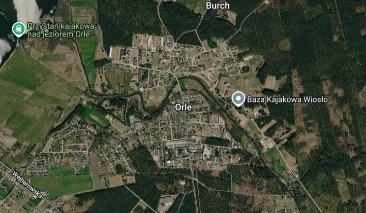 bliźniak Orle
